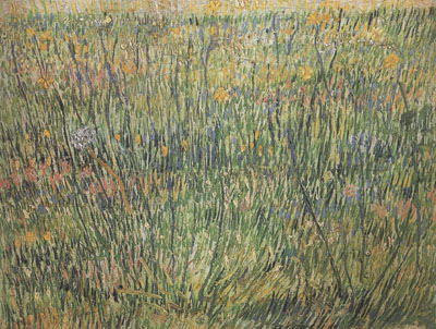Pasture in Bloom (nn04)